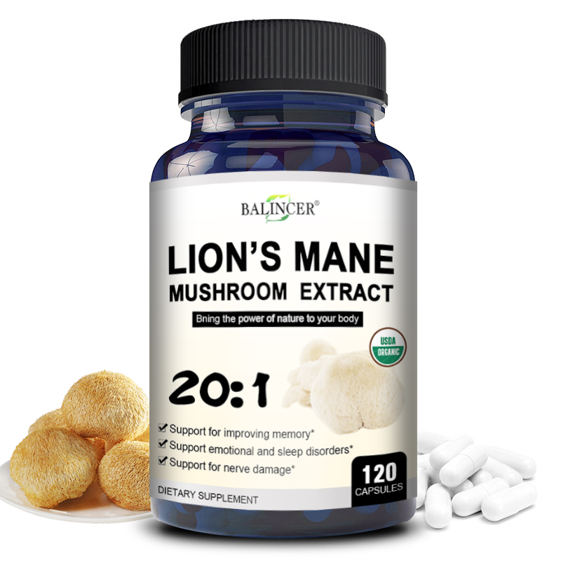 Lion Mane Mushroom - Lion's Mane - Nootropic Brain Memory