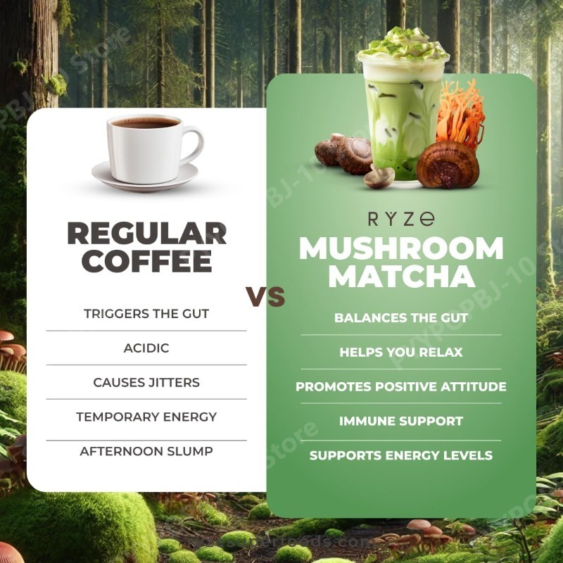 Organic Mushroom Matcha Supple - Lion Mane Mushroom review and price